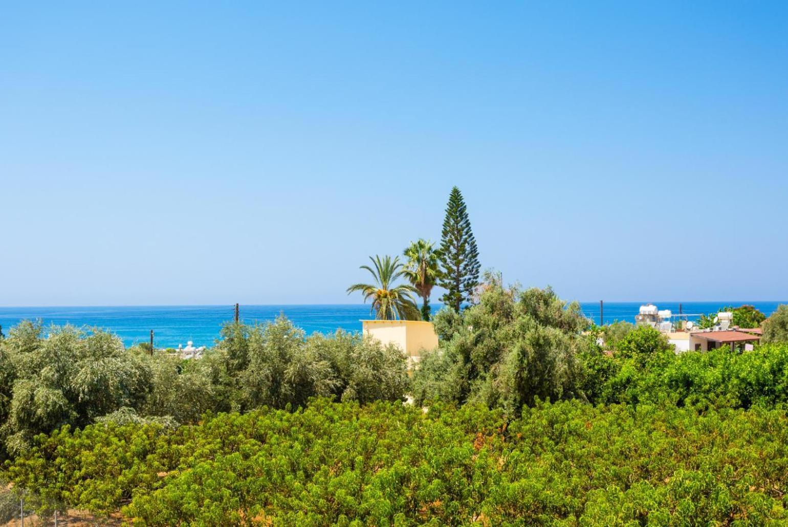 Villa Olivetta Kato Yialia Ngoại thất bức ảnh